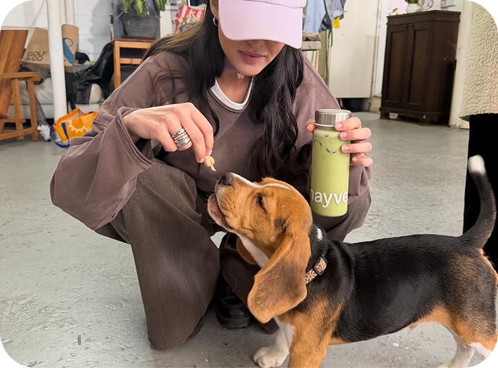 <p>Meet the team </p>